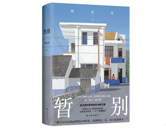 暂别/译林出版社